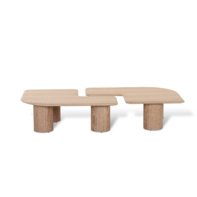 COMBIO COFFEE TABLE (SET OF 2)