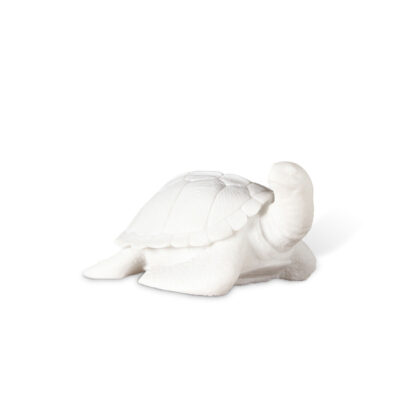 TURTLE LAMP